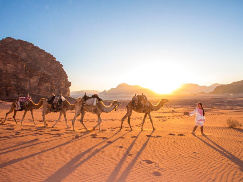 Wadi Rum - Camels & riding camels 18