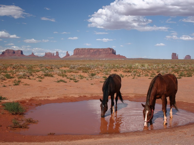 Southwest USA Adventure Self-Drive - 16