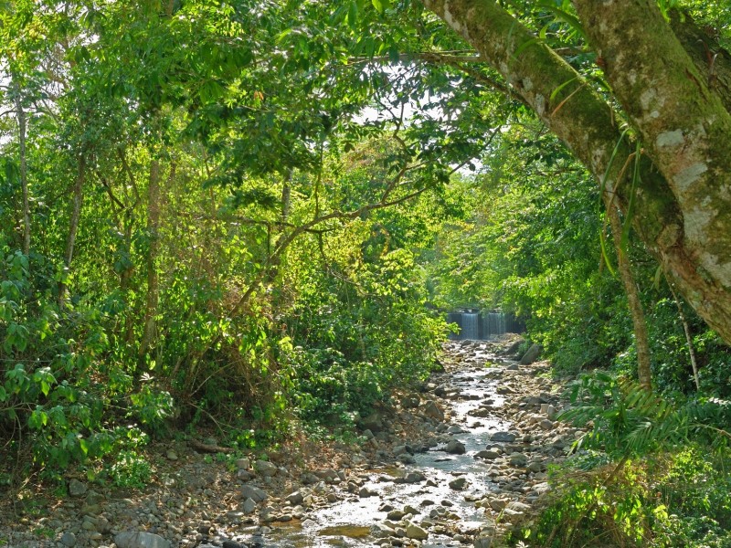 Volcano Lodge - Rio La Palma