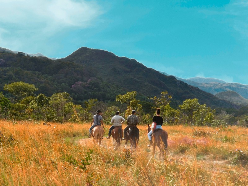 Horseback in Brazil