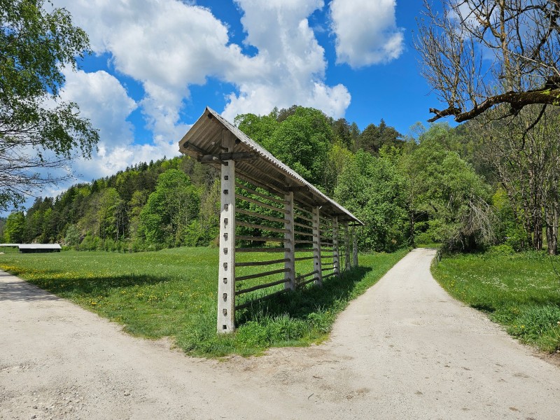 hiking near Kranjska Gora