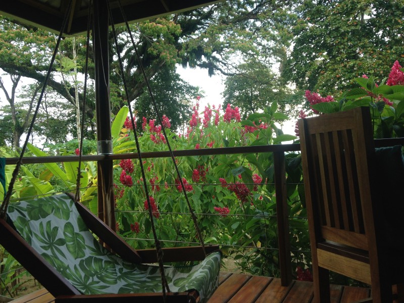 The Hummingbird - Bungalow