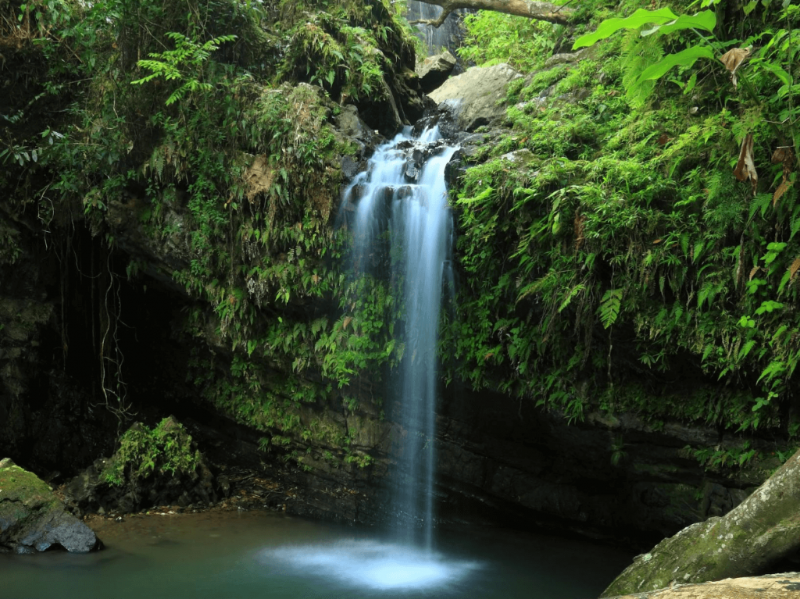 El Yunque Waterfalls