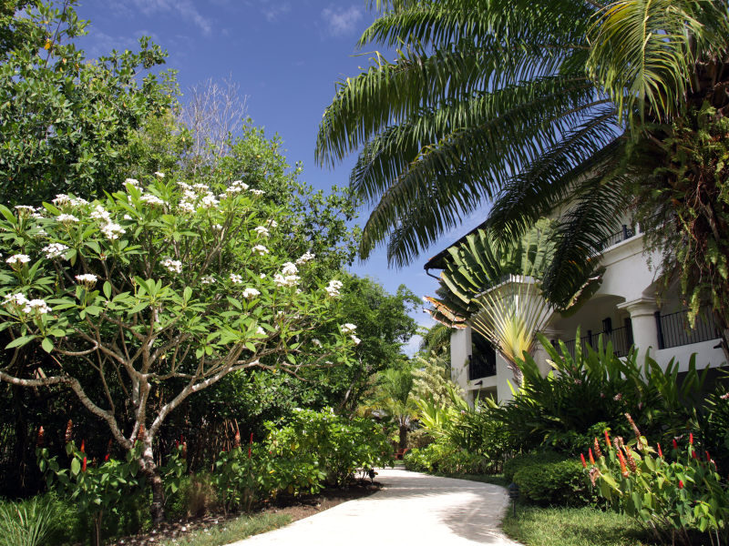 Casa Colonial - Garten