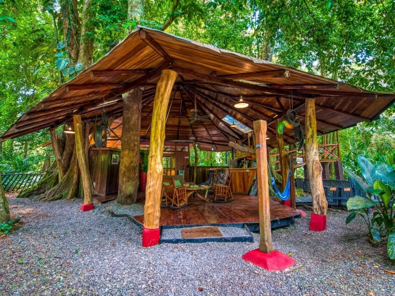 Tree House Lodge - Tree House Wohnzimmer