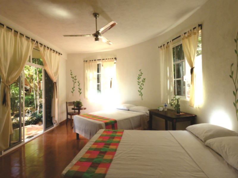 Nueva Altía - Standard