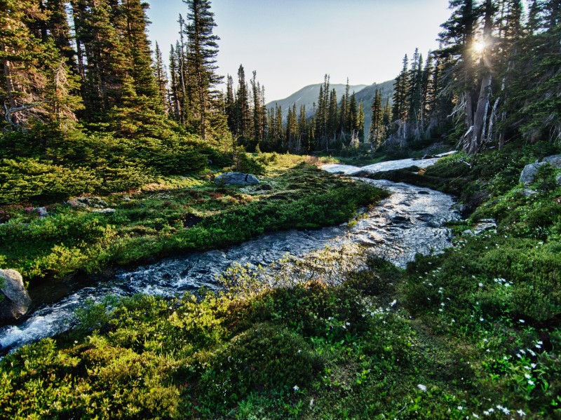 Pacific Northwest and California Adventure (Seattle to San Francisco) - 12