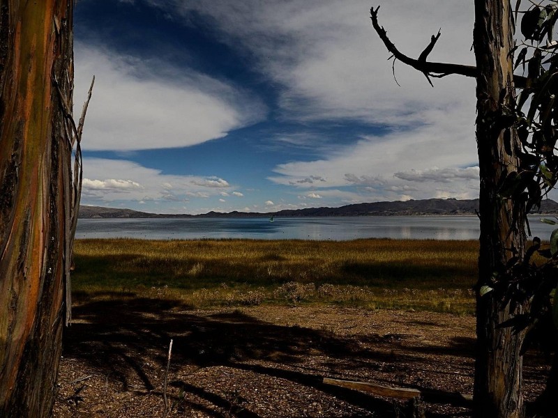 Private Tiwanaku and Titicaca Day Trip