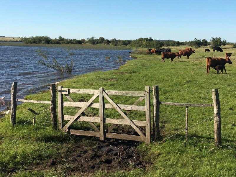 La Bendición Lodge - Estancia