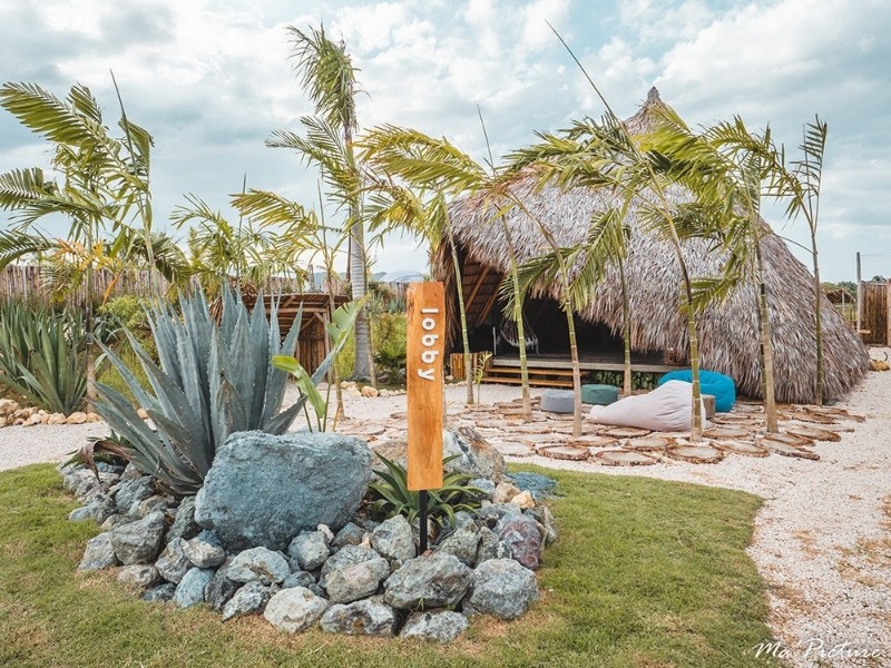 Green Land Bubble Glamping - Lobby