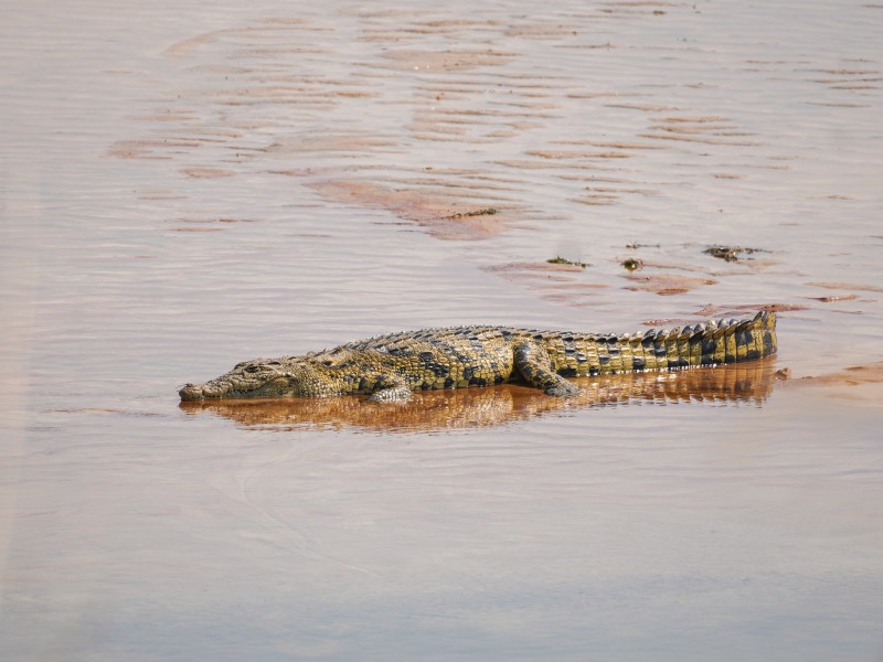 Namibia - Divundu - Okavango river