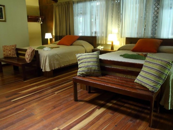Selva Verde_Standard