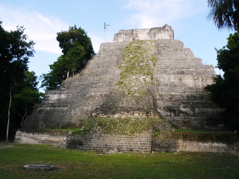 Flores - Tikal