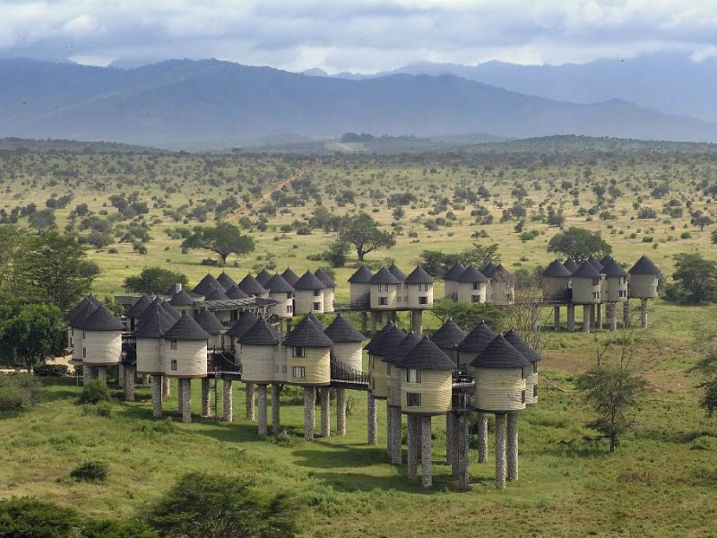 Kenya - Salt Lick lodge