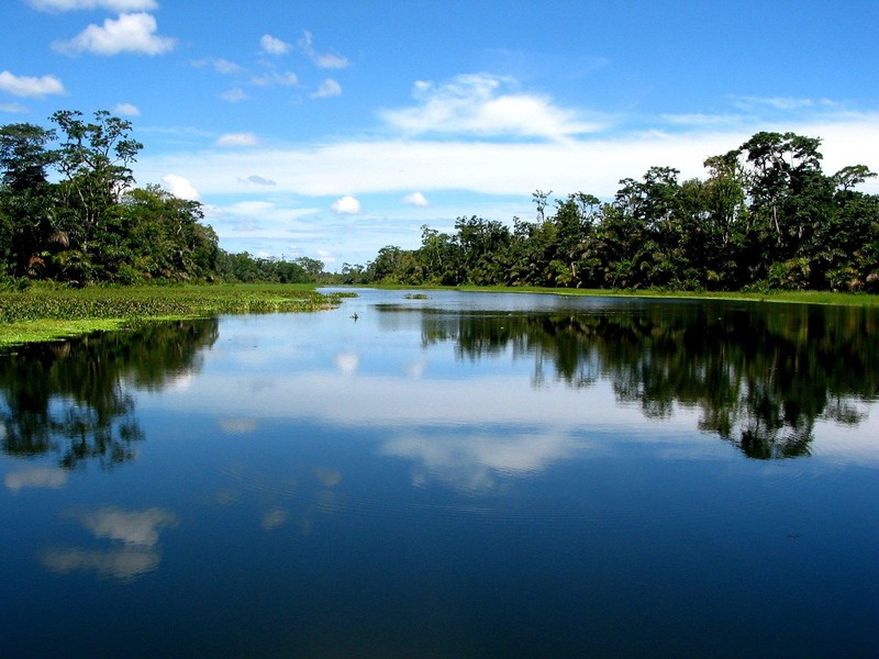 Tortuguero Nationalpark