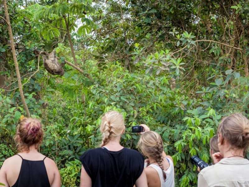 Las Tortugas Ecolodge