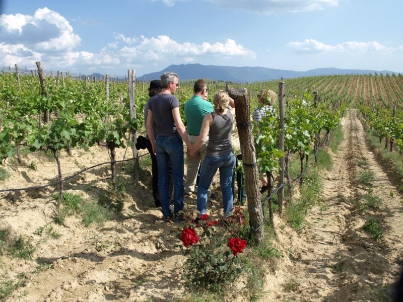 Wine Tasting