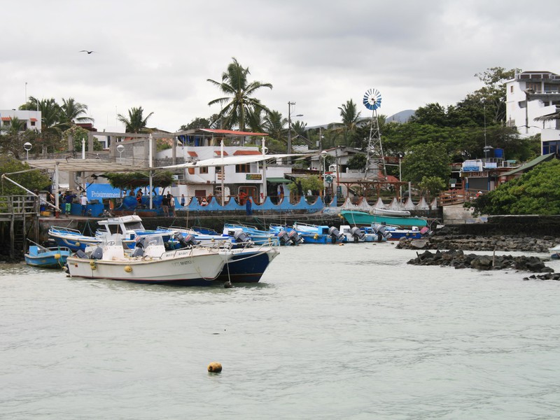 Fischerhafen Puerto Ayora