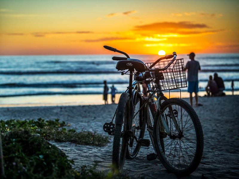 The Gilded Iguana - Playa Guiones