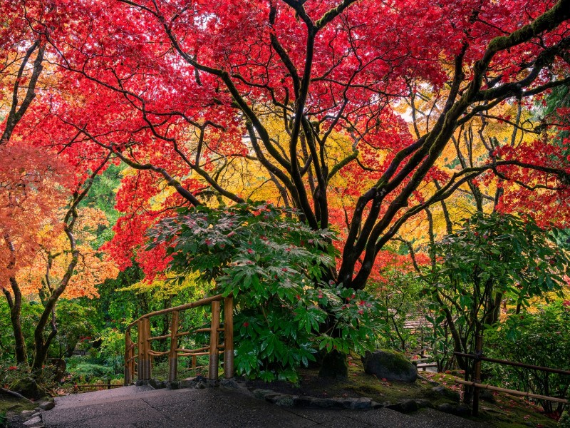 Canada - Butchart gardens
