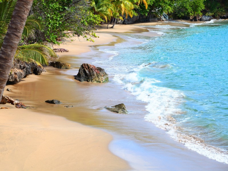Bahia Principe - Strand