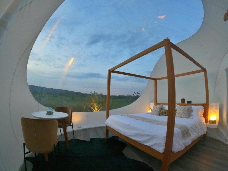 Green Land Bubble Glamping