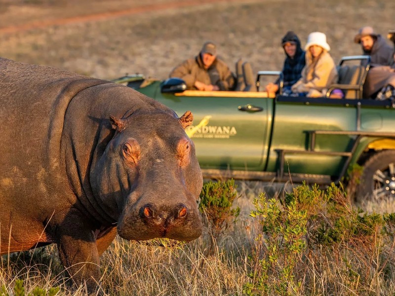Gondwana Game Reserve