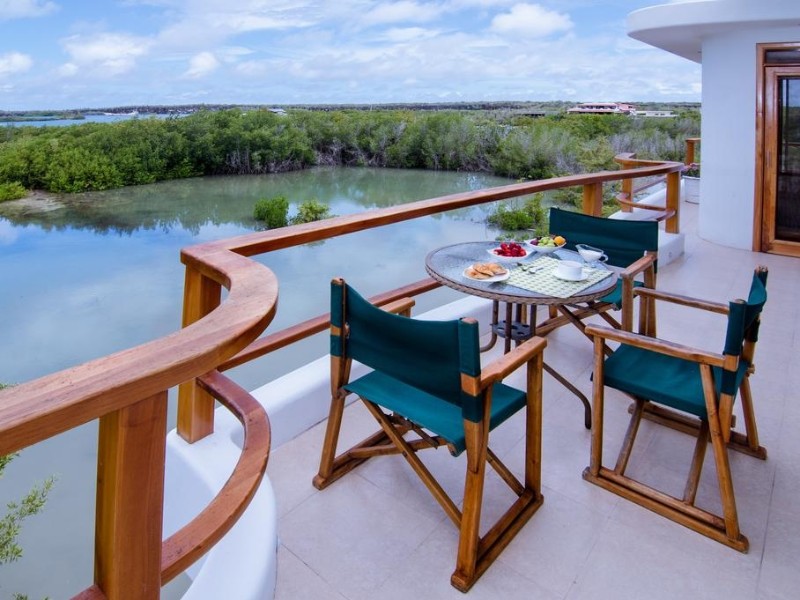 Incredible Views Over the Mangroves