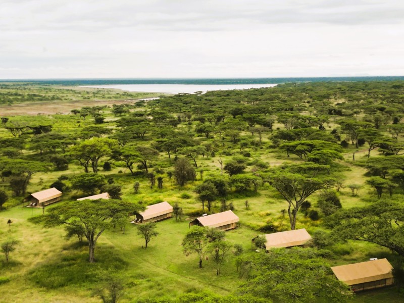 South Serengeti View