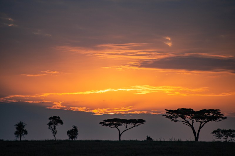 Walking Safari and Sundowners