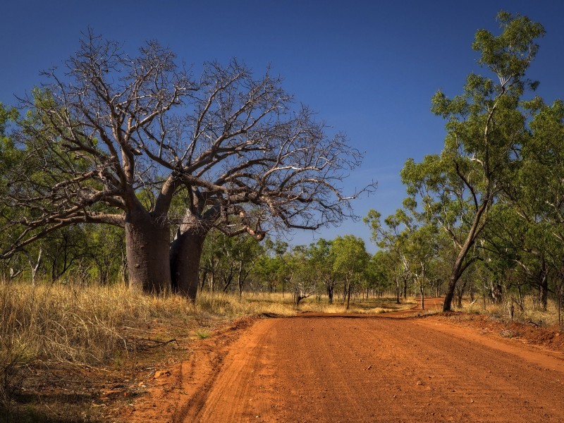 14 Tage Kimberley Explorer (TN023)