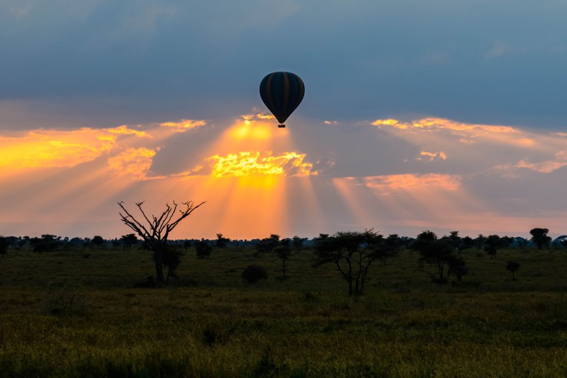 Hot Air Balloon Safari in Tarangire 