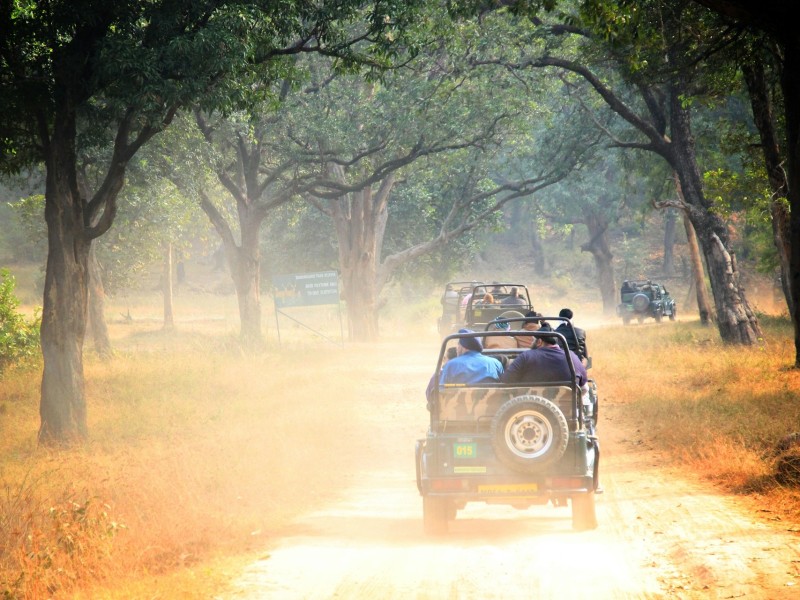 safari truck