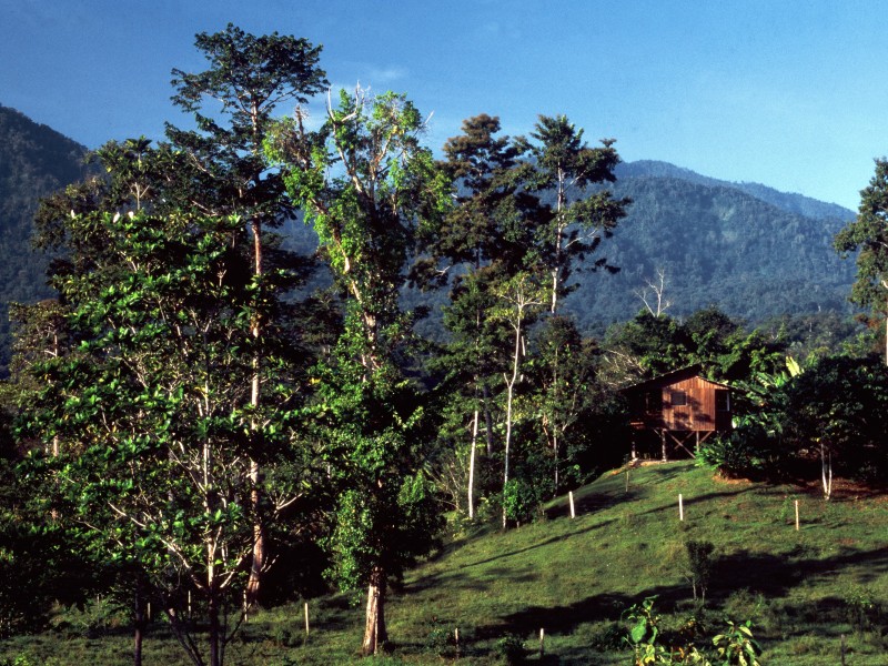 Selva Bananito Lodge - Aussicht