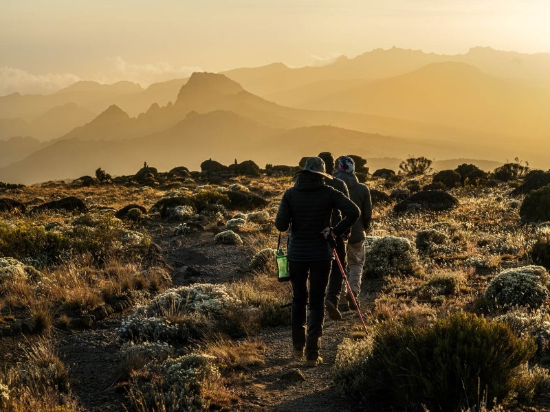 Kilimanjaro