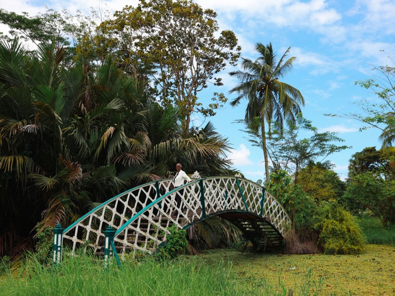 Picturesque arched pedestrian bridge