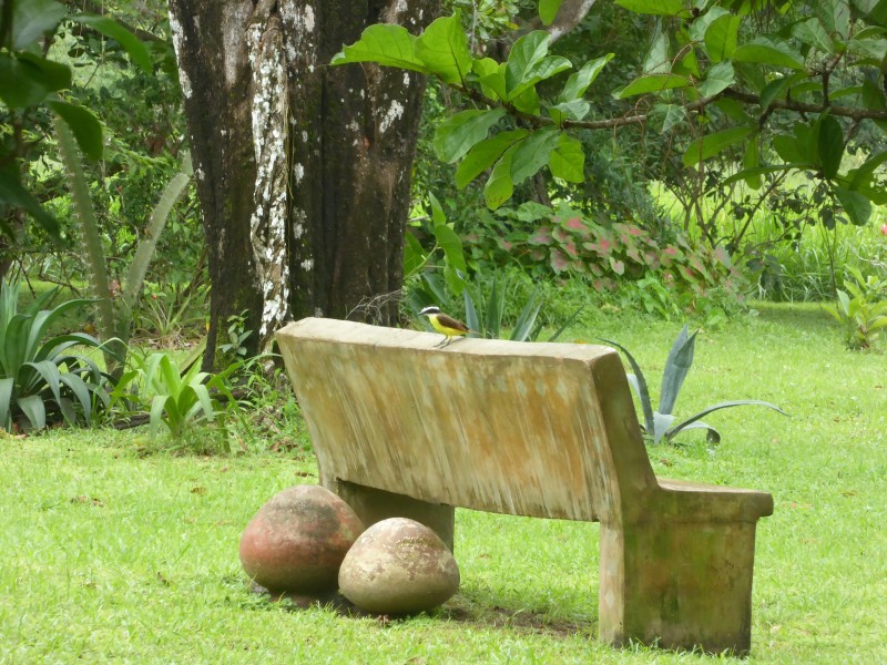 La Rosa de los Vientos 