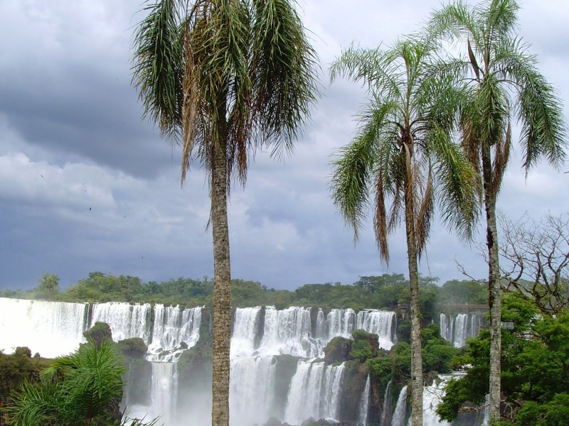 Iguazu falls 