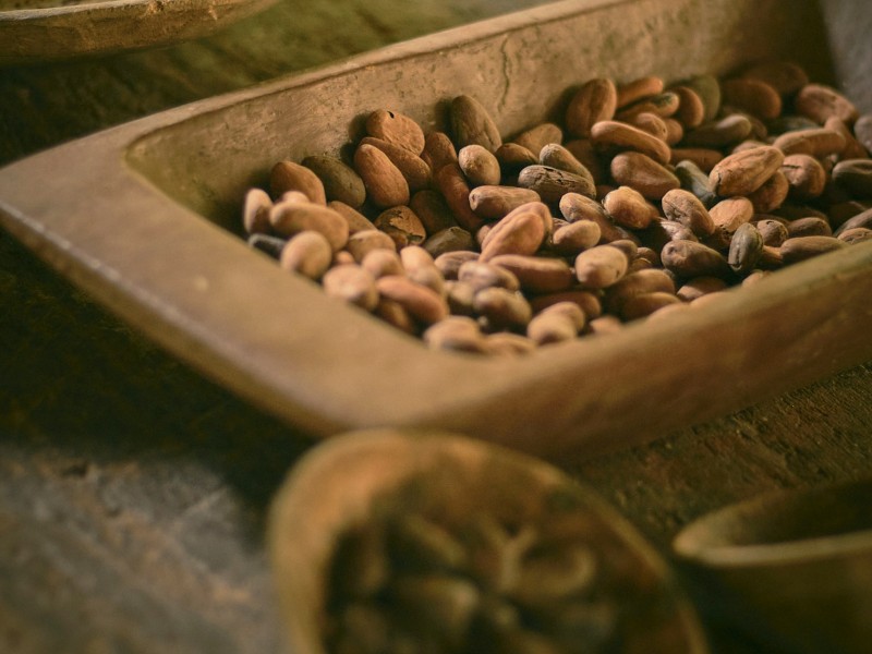 Oaxaca Artisanal Chocolate Experience