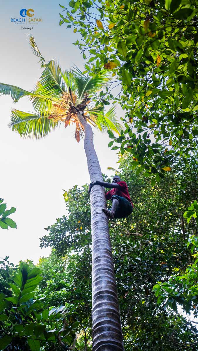Gewürzfarm auf Sansibar