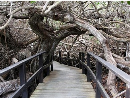 Weg zu Concha de Perla