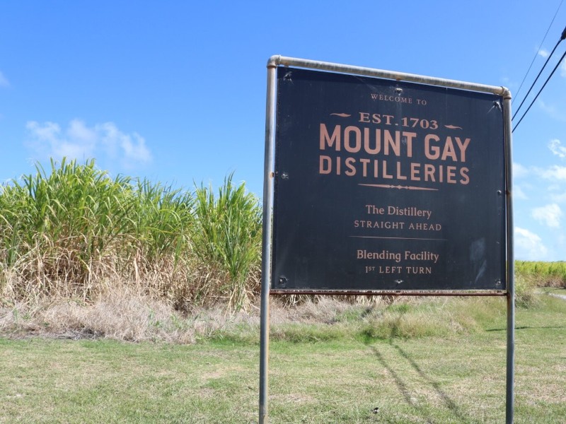 Mount Gay Rum