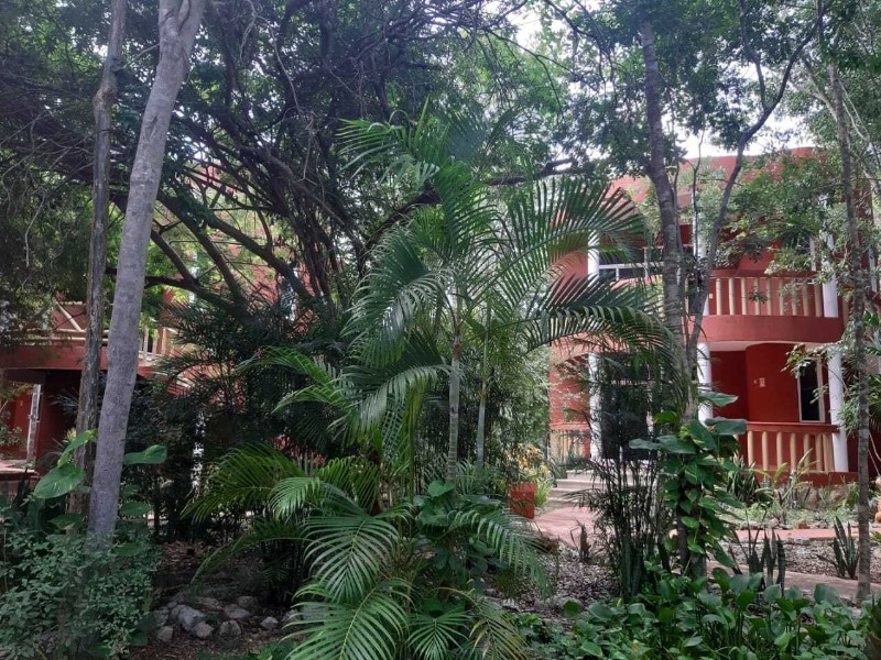 Nueva Altía - Hotelansicht