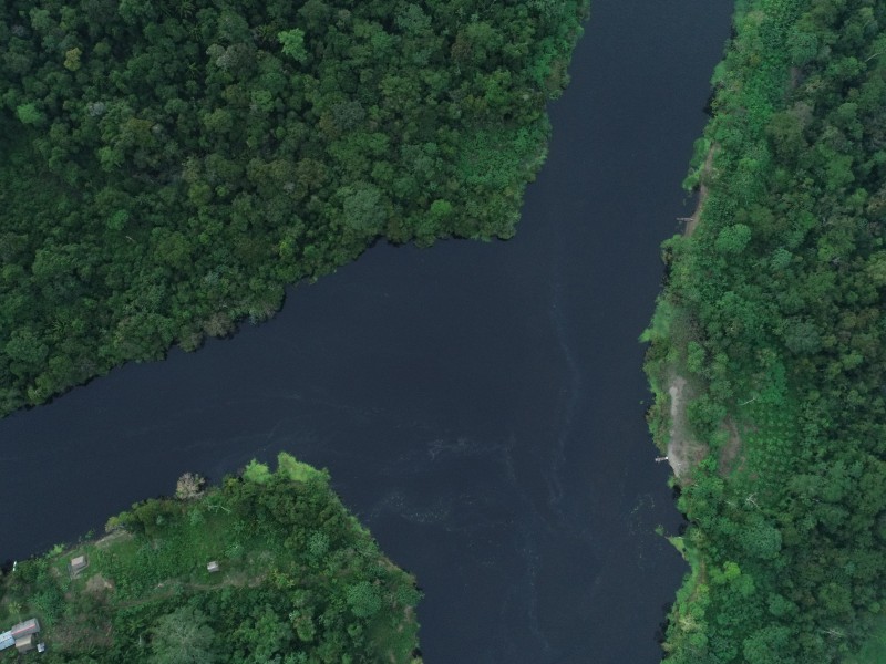 Peru_Peru_Amazon Jungle