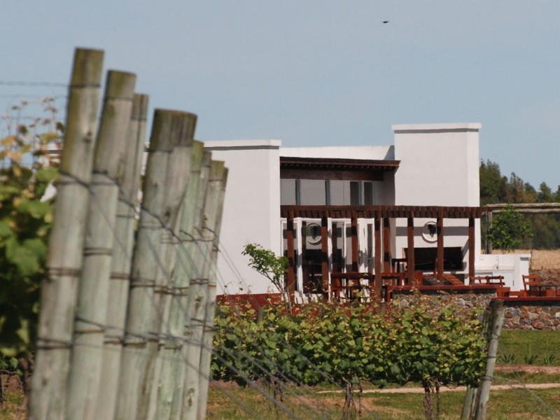 Posada Campo Tinto - Bodega