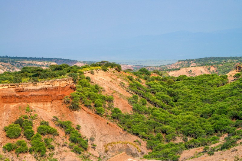 Olduvai Gorge and museum