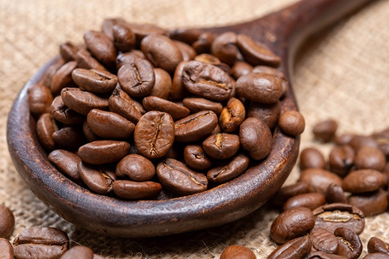Coffee Farm Tour in Karatu