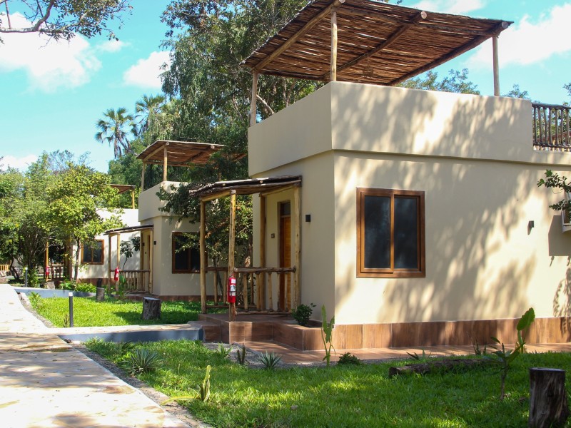 Africa Safari Nyerere