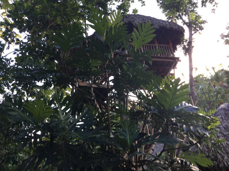 Samana - Samana Zipline