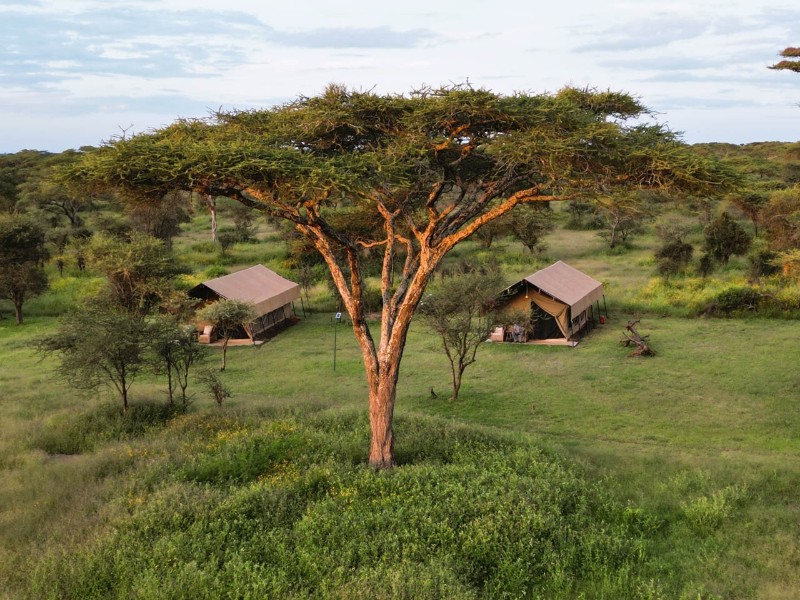 South Serengeti View
